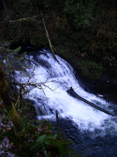 Silver Falls 12.10.05 062 